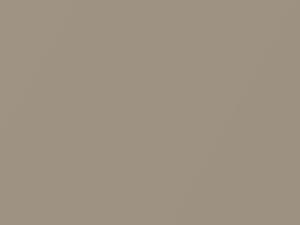 BMW All Models Samanabeige Metallic 1995 282 - Scratch Repair