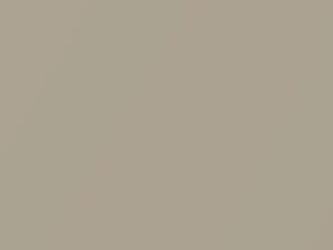 Nissan All Models Light Brown/Light Brown Metallic 1996 CK0 - Scratch Repair