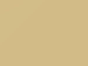 Land Rover Range Rover Cornish Cream 1992 374, NCN - Scratch Repair