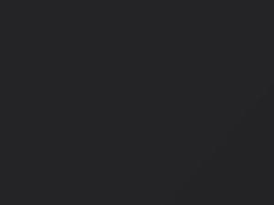 Dodge All Models Dark Arctic Gray 1993 DT1675, MS9, PS9 - Scratch Repair