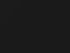 BMW 8 Series Vulkan Gray 1991 329