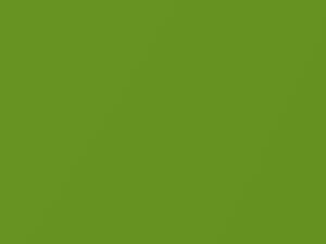 Dodge All Models Green With Envy Pearl 2011 PGE - Scratch Repair