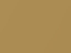 Nissan All Models Atomic Gold Metallic 2019 EAH - Scratch Repair