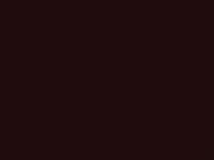 Isuzu Trooper II Red Mahogany 1991 852, R801P801-0