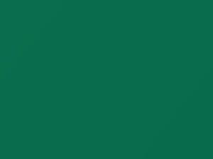Isuzu All Models Bahama Green 1992 738, G010P802-0, G013P902-0