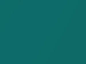 Capri All Models Reef Green Metallic 1994 SJ