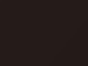 Honda Fit Preminum Deep Mocha Pearl/Premium Deep Mocha Pearl 2011 YR586P - Scratch Repair