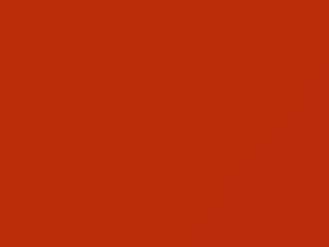 Volkswagen All Models Signalorange 2010 LH2E