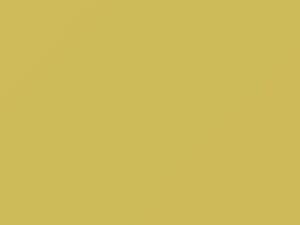 Dodge All Models Sunflower Yellow 1969 Y2 - Scratch Repair