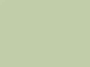 Ford All Models Diamond Green/Light Green 1969 H, M2067A