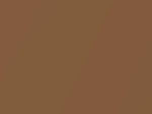 Chevrolet All Models Camel Metallic 1979 65, 8058, WA8058 - Scratch Repair