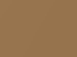 Ford All Models Saddle Tan Metallic 1974 M3516A, W