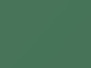 Dodge All Models Medium Green 1969 AE1EF4, DT7573