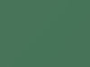 Dodge All Models Medium Green 1969 AE1EF4, DT7573