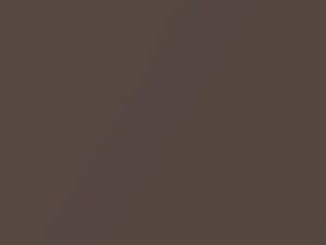 Saab All Models Walnut Brown Metallic 1981 169G