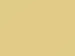 Nissan All Models Creamy Yellow 1989 CG5