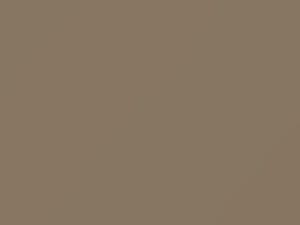 Toyota All Models Pluto Beige 1973 1352, 401