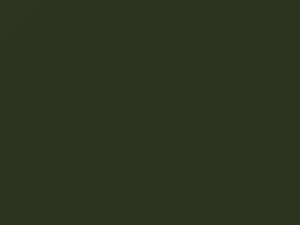 Chevrolet All Models Dark Green 1975 WSA4810