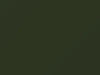 Chevrolet All Models Dark Green 1975 WSA4810
