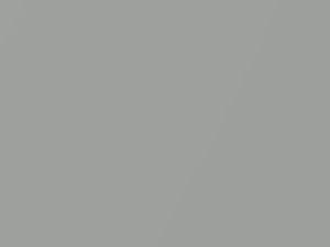 Austin Rover All Models Road Silver Metallic 1974 BLVC88 - Scratch Repair