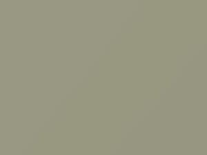 Chrysler All Models Skyline Gray 1955 16, 30, C5102E
