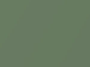 Fiat All Models Green Metallic 1980 320