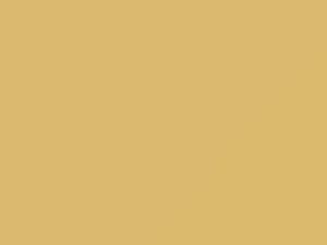 Chrysler All Models Light Yellow 1990 18663, AY98FY4, PY4
