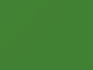 Mercury All Models Cambridge Green 1956 20, M25J553 - Scratch Repair