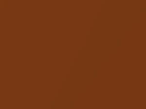 Volkswagen All Models Brazil Brownmetallic 1981 L96F
