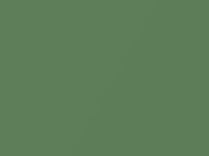 Ford All Models Seapine Green Metallic 1973 H, M5187A, O
