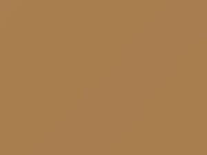 AMC All Models Cameo Tan 1981 OK
