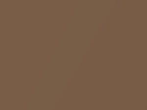 Buick All Models Medium Sandstone Metallic 1982 7740, E68, WA7740