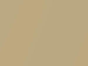 Fiat All Models Champagne Metallic 1982 512 - Scratch Repair