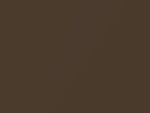 Buick All Models Dark Sandstone Metallic 1981 69, 7262, WA7262