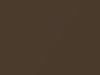 Oldsmobile All Models Dark Sandstone Metallic 1981 69, 7262, WA7262