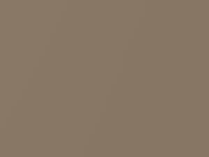 Toyota All Models Colosseum Beige Metallic 1966 1123