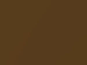 Cadillac All Models Canyon Amber Metallic 1973 4223, 59, WA4223 - Scratch Repair