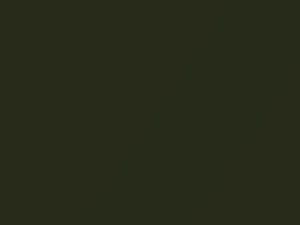 Dodge All Models Dark Green Metallic 1973 AY70JF8, F8