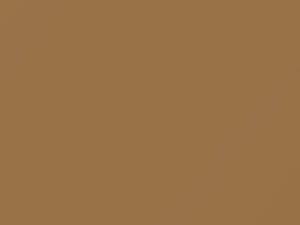 Subaru All Models Harvest Beige 1984 254