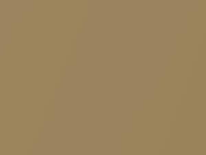 Chevrolet All Models Klondike Gold Metallic 1958 713 - Scratch Repair