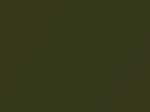 Capri All Models Dark Green Metallic 1973 8
