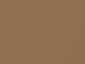 AMC All Models Dark Honey Metallic 1986 5D - Scratch Repair