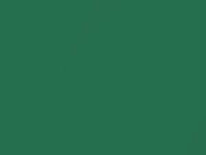 Honda All Models Stewart Green Metallic 1980 GY7M