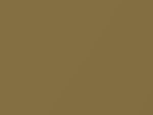 Fiat All Models Gold Metallic 1979 589