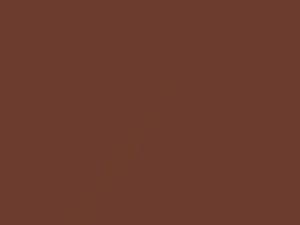 Honda All Models Elysee Bronze Metallic 1979 R35M