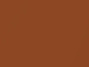 Porsche All Models Copper Metallic 1980 L95F