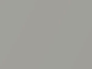 Chevrolet All Models Silver Sand Gray Metallic 1984 8311, W15, WA8311