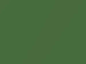 Chevrolet All Models Bright Green Metallic 1974 5227, 568, WA5227