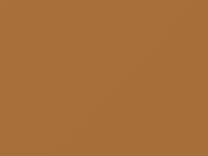 Mercedes-Benz All Models Desert Tan 1988 1-690, 690