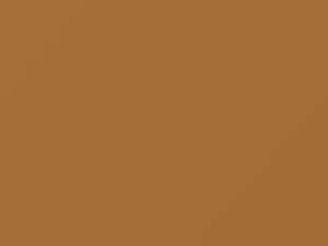 Plymouth All Models Light Mocha Tan 1977 AY69PT2, T2